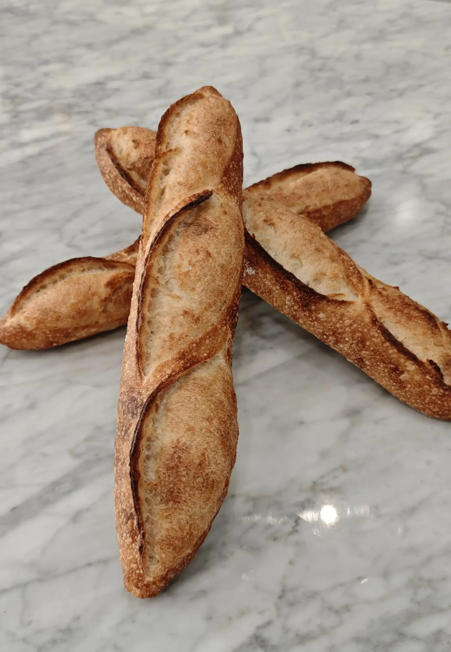 5 Days Beginner Class