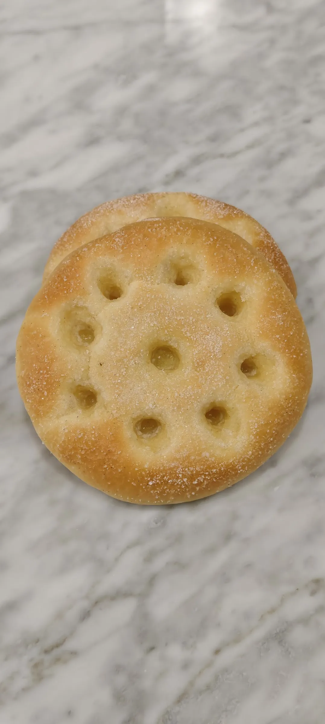 5 Days Beginner Class