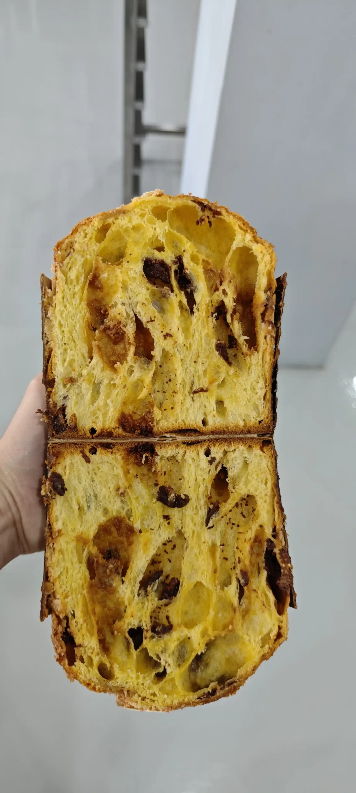 Panettone & Brioche